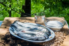 TCM-Wasser
